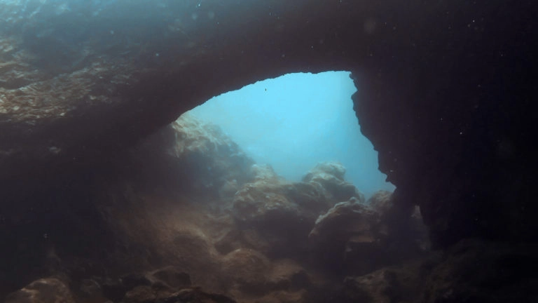 plongée el hierro