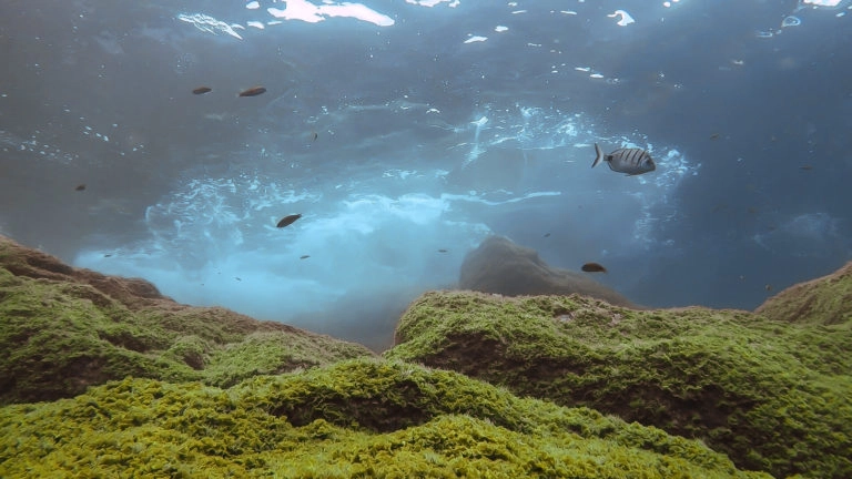 el hierro plongée