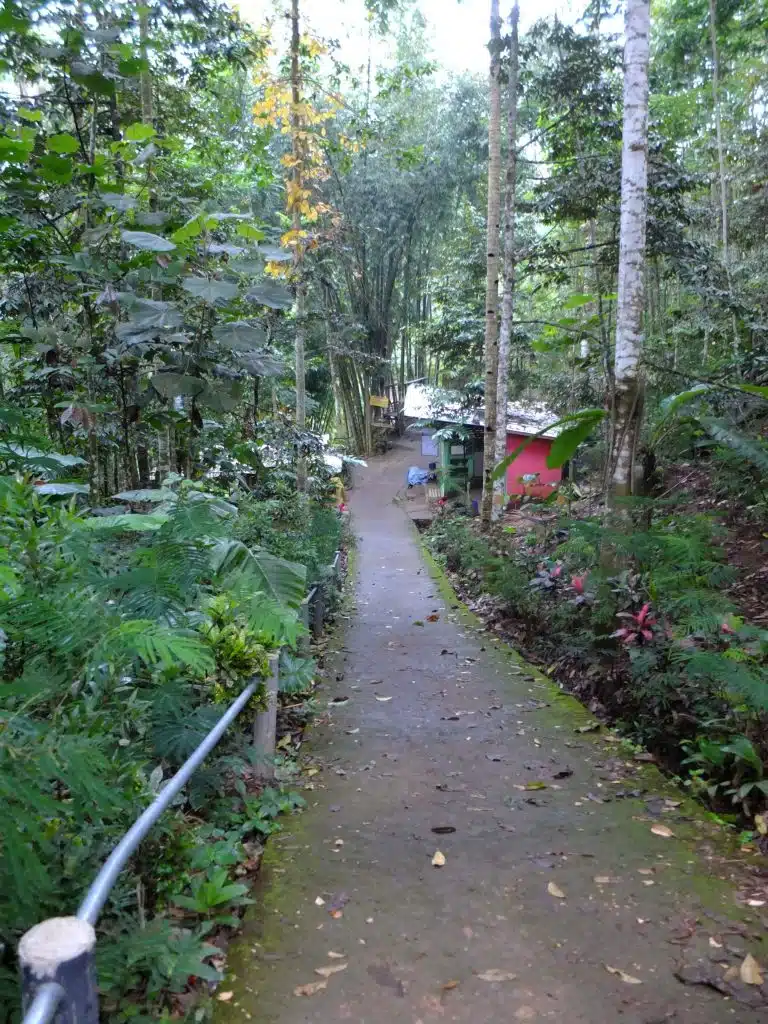 tumpak sewu sentier