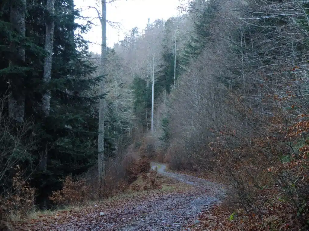 randonnée pyrénées