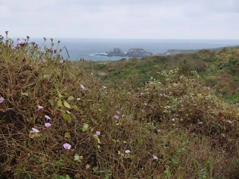 isla de la plata sentier