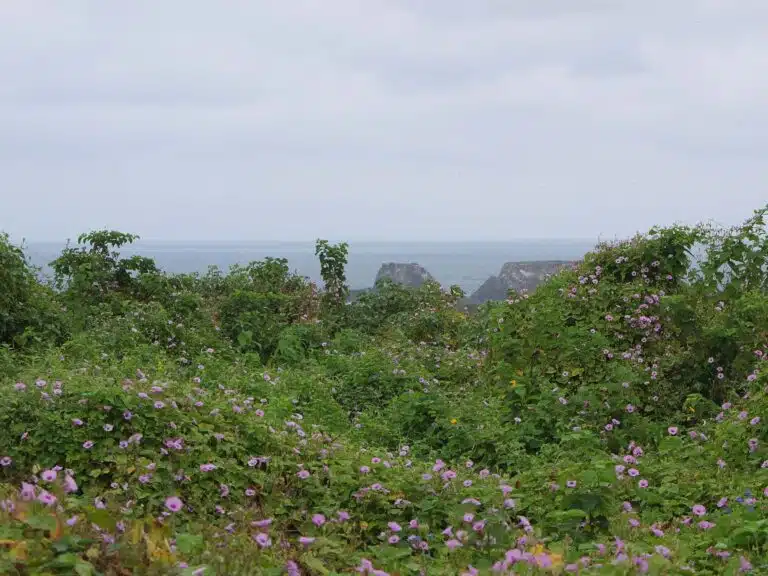 isla de la plata sentier