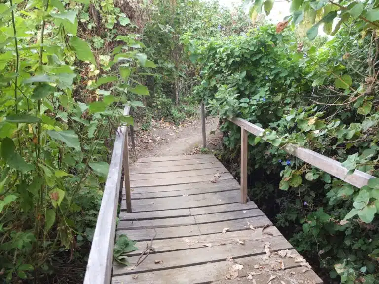 isla de la plata sentier