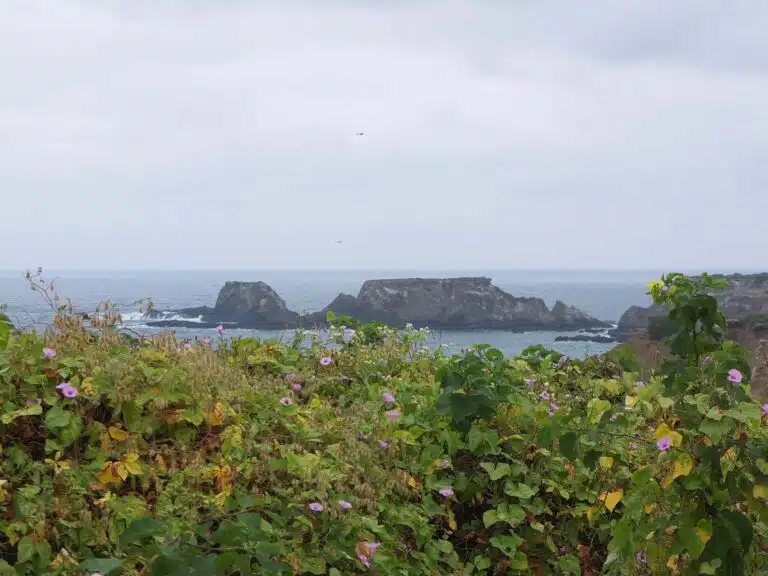 isla de la plata sentier