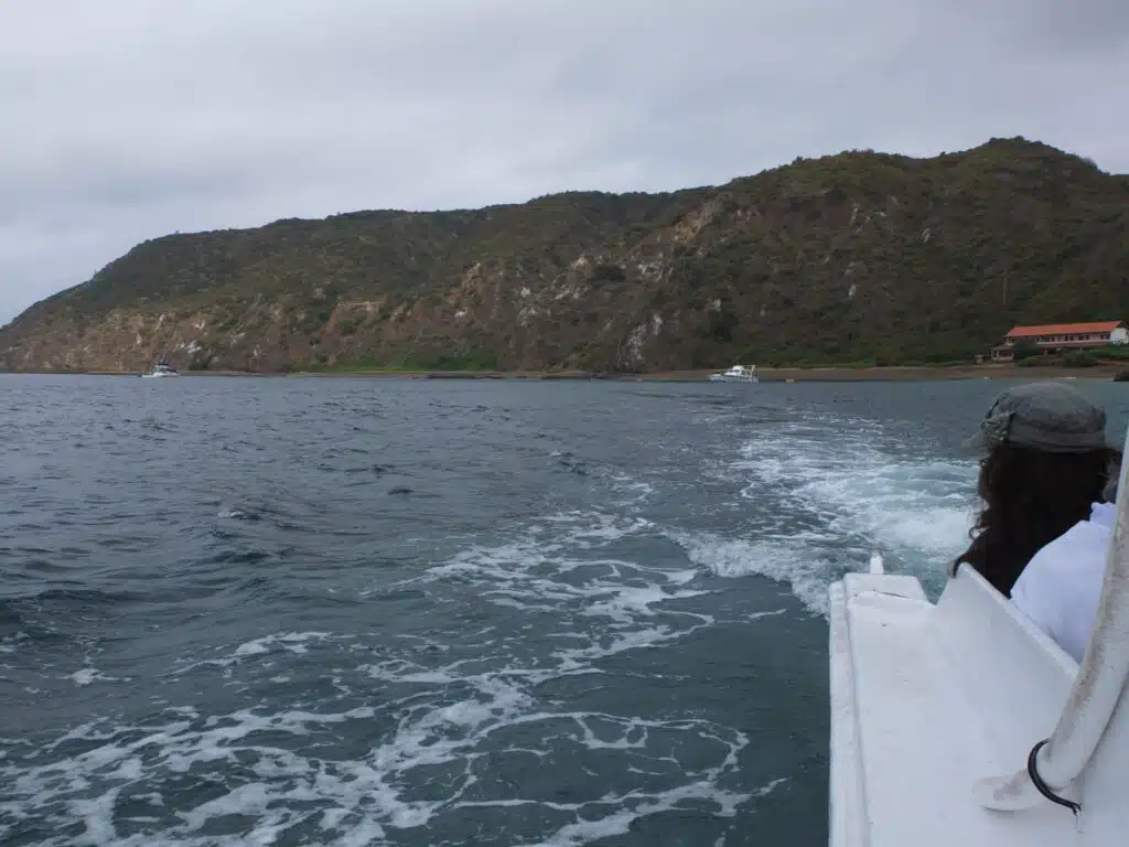bateau isla de la plata