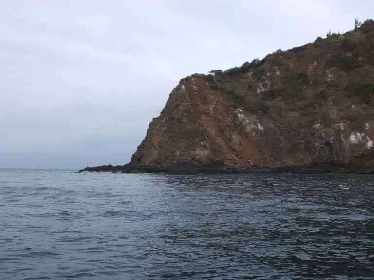 bateau isla de la plata