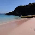 plage rose indonésie komodo
