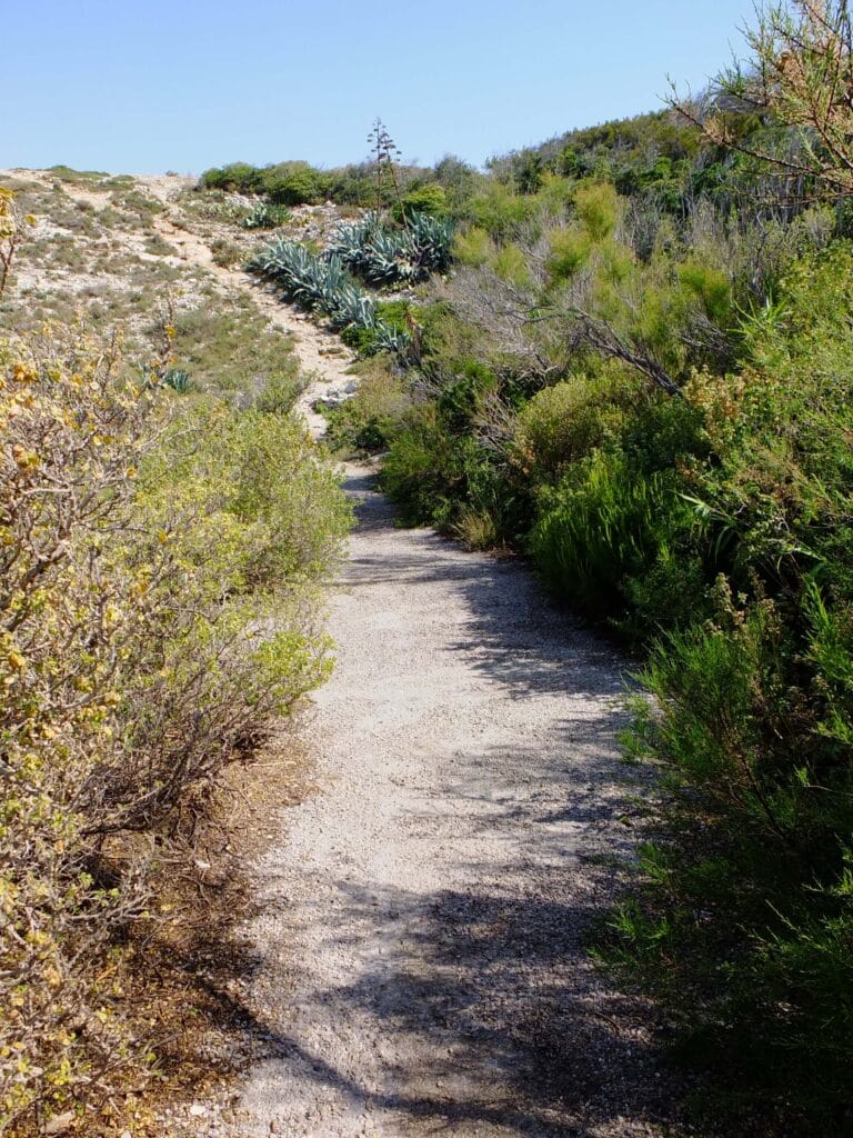sentier balade iles du frioul marseille