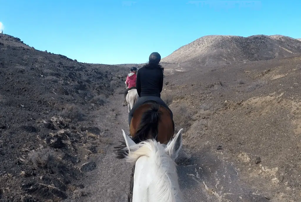 balade cheval canaries