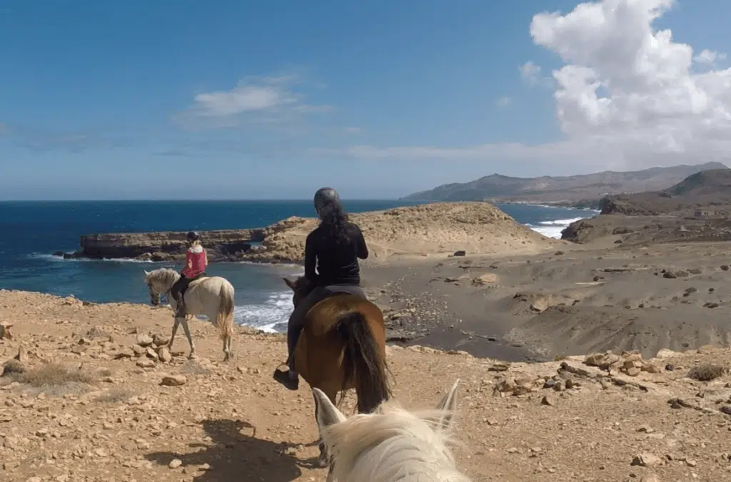 cheval fuerteventura
