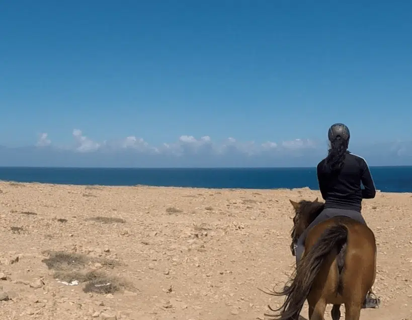 cheval fuerteventura plage