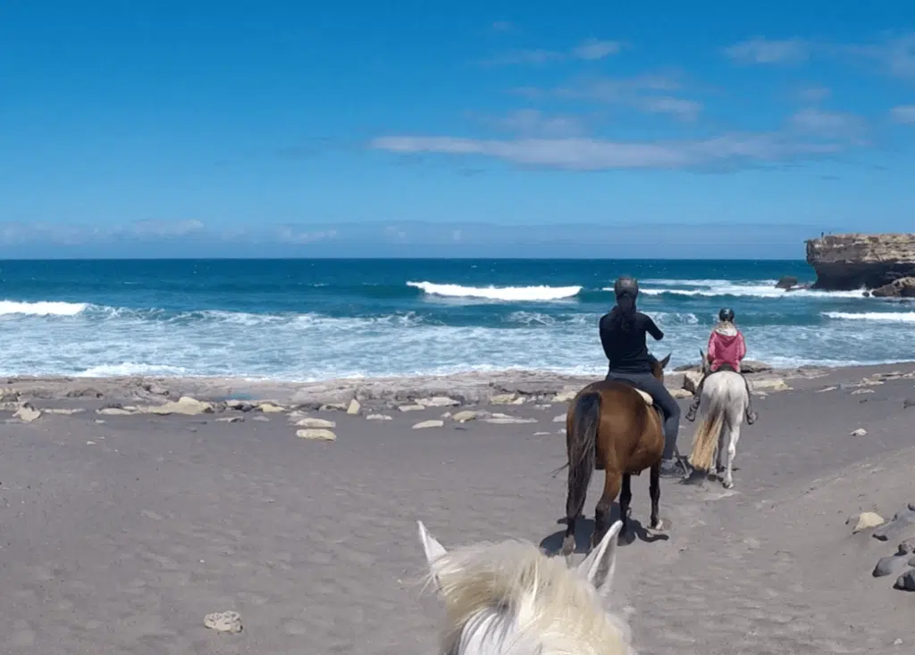 balade cheval fuerteventura plage