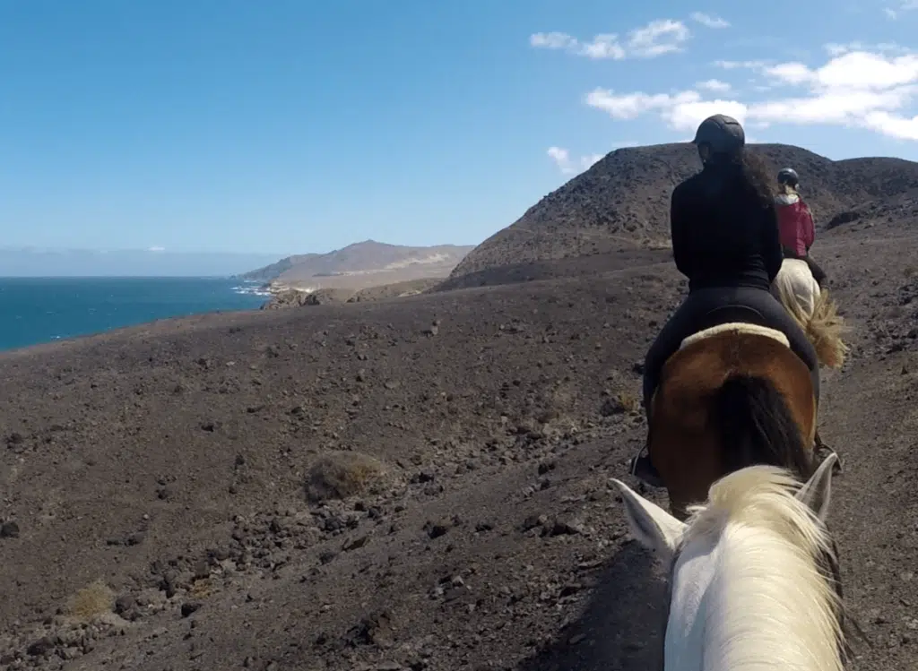 balade cheval canaries