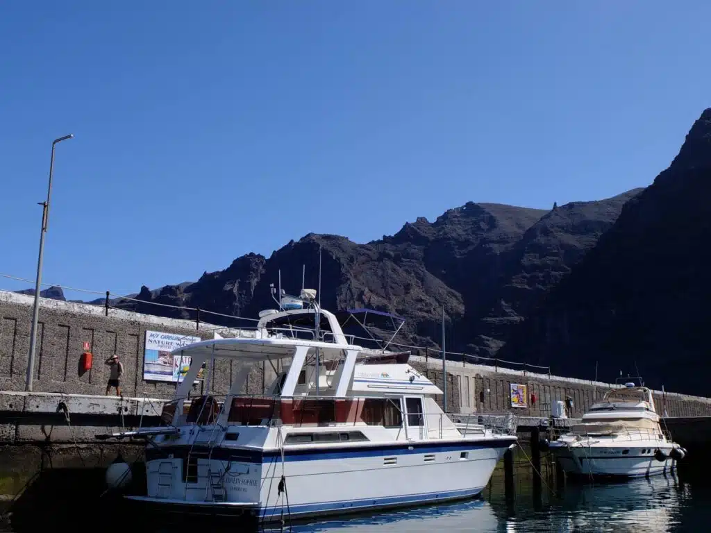 bateau los gigantes excursion baleines