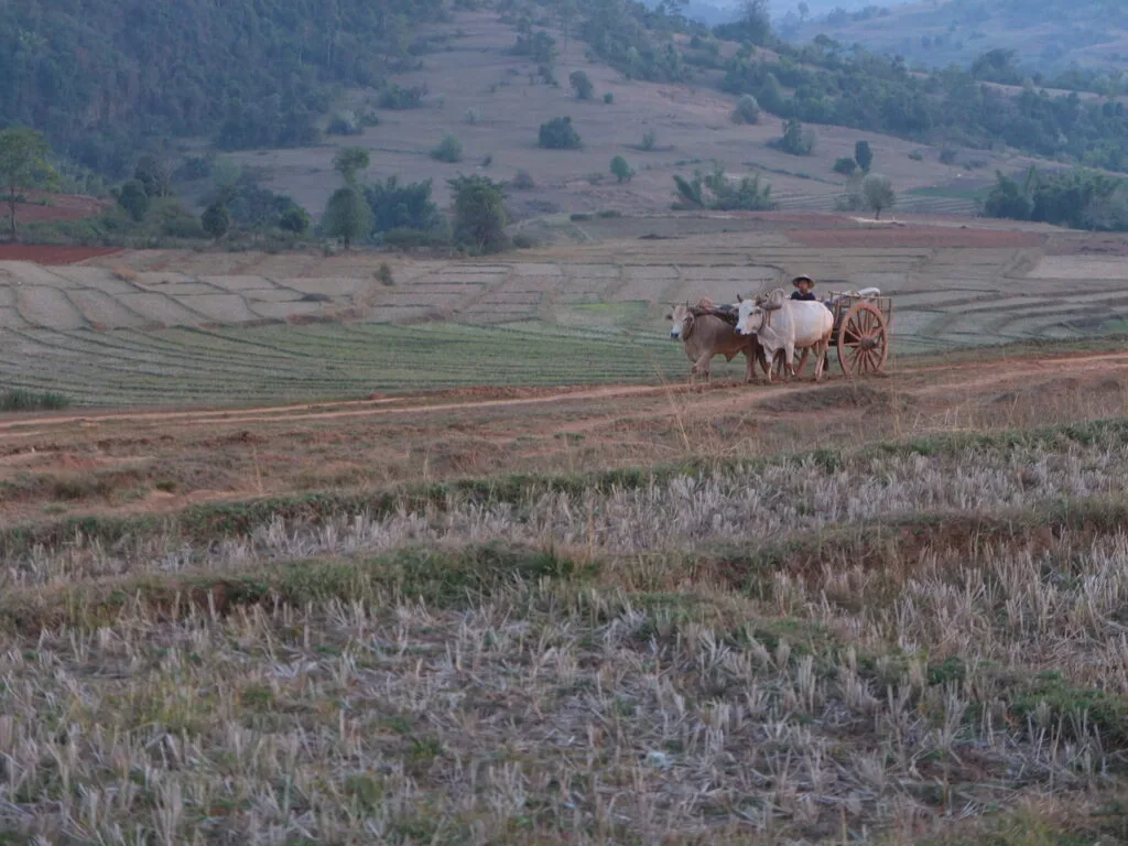 randonnée kalaw inle bimanie